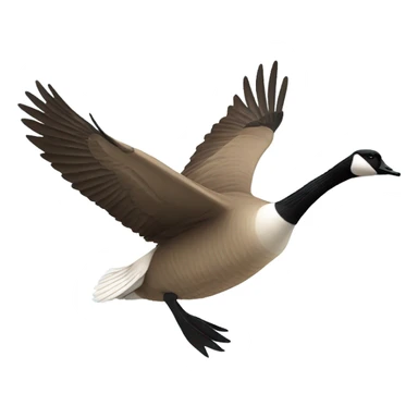 Flying Canadian goose wearing sunglasses sticker