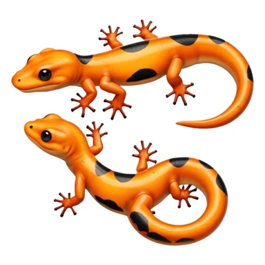 Salamander sticker