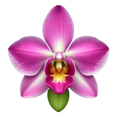 green and pink orchid sticker