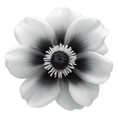 black and white anemone flower sticker