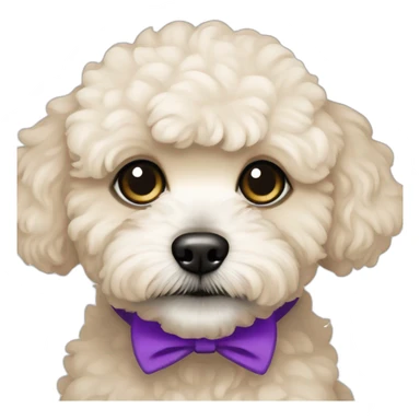 Creme maltipoo with black eyes and purple collar  sticker