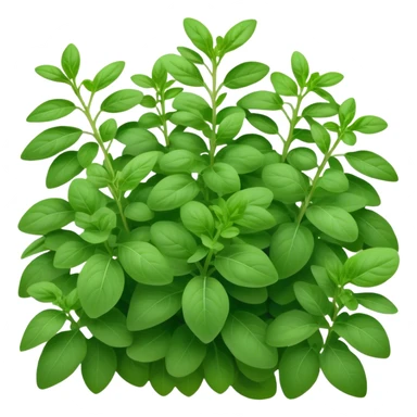 Cinematic Realistic Oregano Emoji, Bold and aromatic, with dark green leaves that radiate flavor and warmth. The plant’s rounded leaves create a lush, hearty growth, while the distinct scent invites comfort and coziness. Soft glowing outline, capturing the essence of bold flavor and herbal richness in a sprig of oregano! sticker
