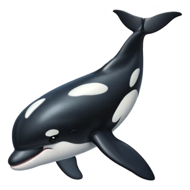 Killer whale  sticker