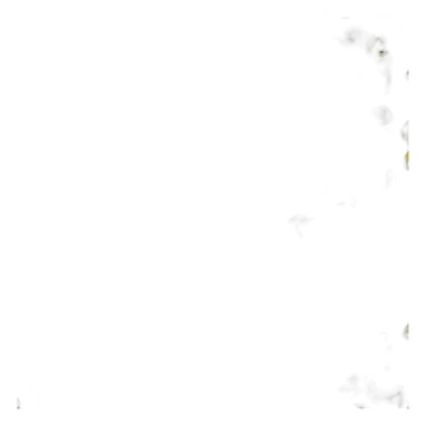 Identificacion naturaleza sticker