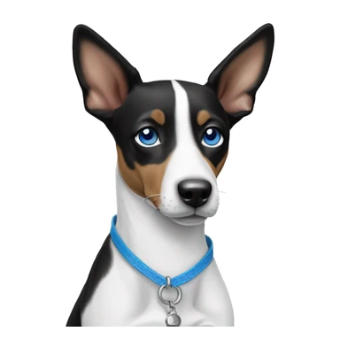 Black and white Basenji dog face with ￼blue eyes sticker
