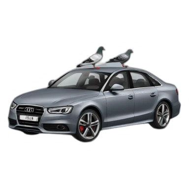 pigeon in audi car sticker