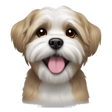 ash maltese   shihtzu mix with white brows and chest hair smiling sticker