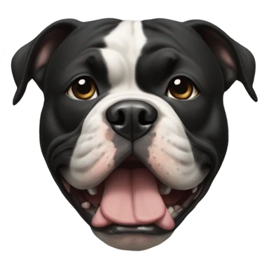 black american bully with black nose sticker