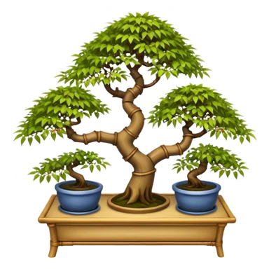 Twisted bamboo floor shelf unit stand displaying maples and hawthorns bonsai plants(in shallow bonsai pots) cluttered because they have too many  sticker