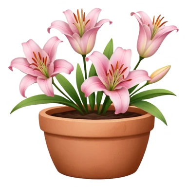 light pink lily flowers in a clay pot sticker