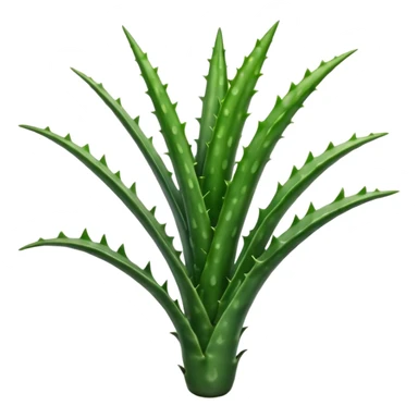 single fleshy aloe vera branch deep green with lighter spots or stripes gently toothed edges long tapered slightly curved smooth waxy surface no pot no background no cut section soft lighting subtle shadows emoji scale sticker