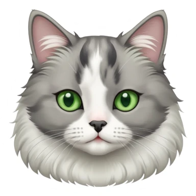 Gray and white  tuxedo cat medium hair with a a black nose and green eyes sticker