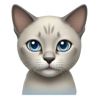 Thai breed cat with a light cream body, dark gray face, ears, and paws. Short fur, sharp ears, and striking light blue eyes with an intense gaze. sticker