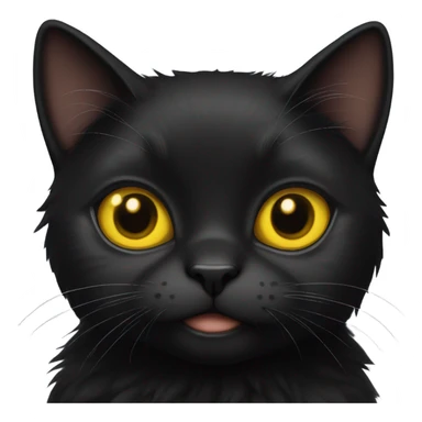 a black furry cat with bright yellow eyes and a collar with the name kai on it sticker