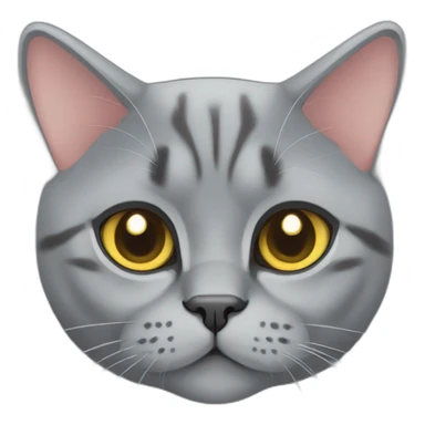 britishshorthaircat sticker