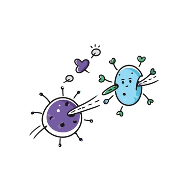Antimicrobial action diagram: purple bacteria with detailed cell structure being attacked by blue shield-shaped antimicrobial molecules. Green arrows showing points of attack on cell wall and membrane. Hand-drawn scientific illustration with color-coded components. sticker