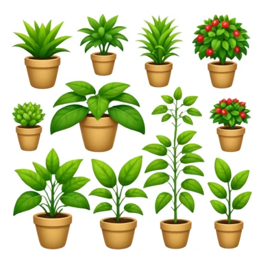 plants culture. Transparent background sticker