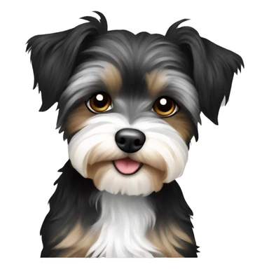 Black and white yorkiepoo sticker