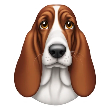 Red and white basset hound side eye sticker