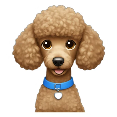 Light brown poodle wearing a blue t-shirt with the text U2 sticker