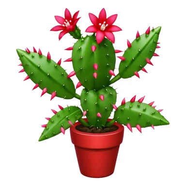christmas cactus  sticker