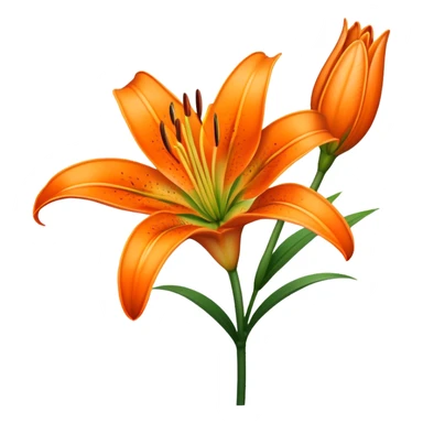 single Vibrant Orange Lily, straight stem sticker