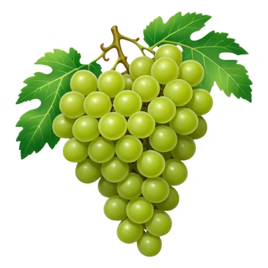 Fruit anggur sticker
