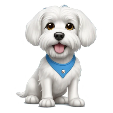 White dog Maltese in blue T-shirt  sticker