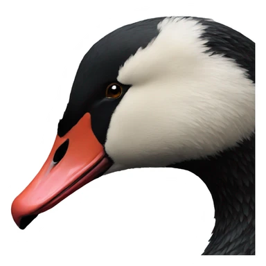 black swan facing right sticker