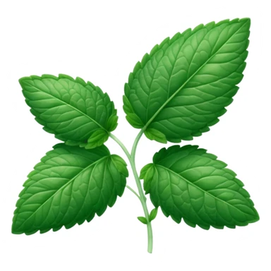 Peppermint (Mentha \(\times \) piperita)  sticker