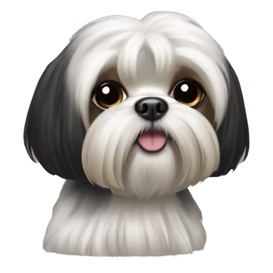 black maltese shihtzu with a cashew sticker