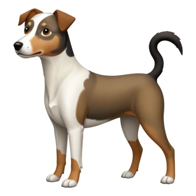 a full body large white parson russell looking dog the size of a kelpie with light brown flapped down ears and a light brown patch on one eye and a large snout sticker