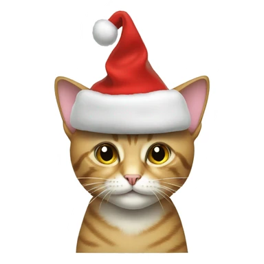 CAT with christmashat sticker
