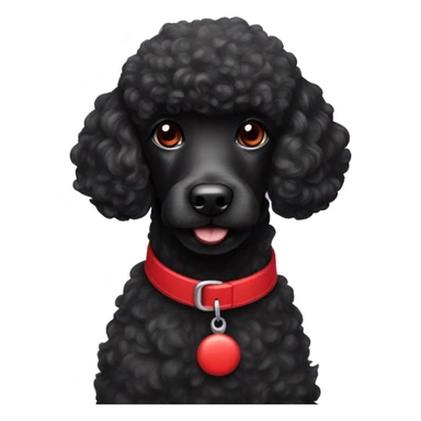 Black poodle with red collar  sticker