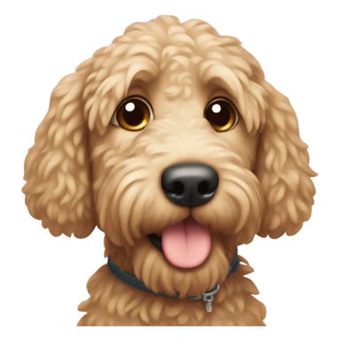 groodle dog  sticker