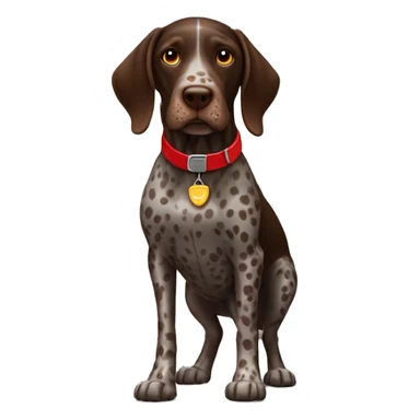 Brown spotted German short haired pointer  with ticking with red collar  sticker