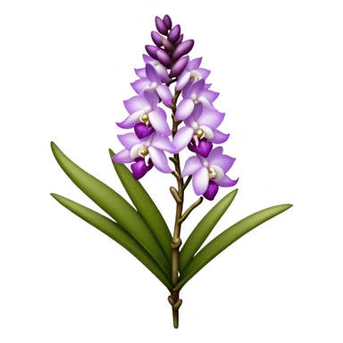 single white purple Rhynchostylis Orchid, 
straight stem sticker