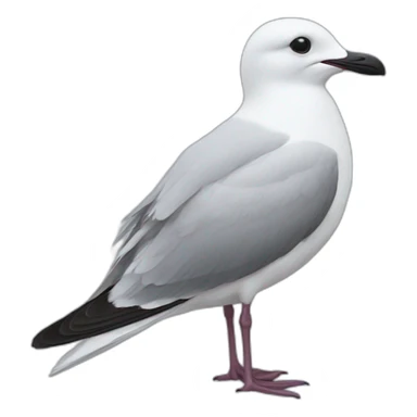 Mouette sticker