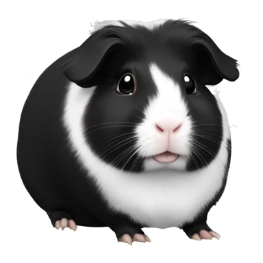 Sheba guinea pig black and white sticker