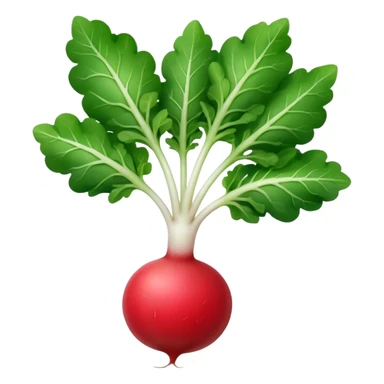the actual radish compared to the leaves needs to be smaller, radish UK plant with a bit of white on the bottom of the radish sticker