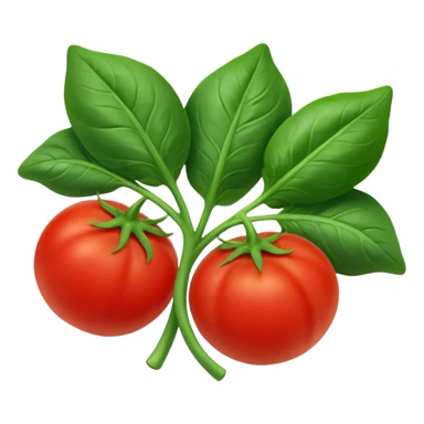 Spinach & tomato sticker