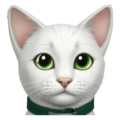white cat with black spot on his head, black tail and black spot in his back and dark green collar sticker