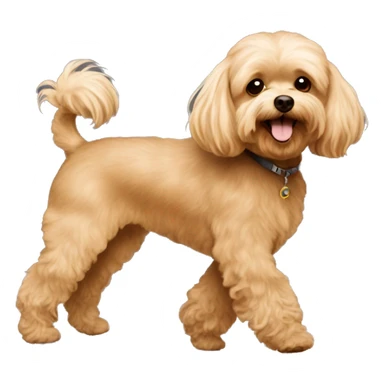 Brown Maltipoo walk with blonde skinny girl with long hair sticker
