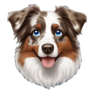 Red Merle Australian Shepherd with blue eyes sticker