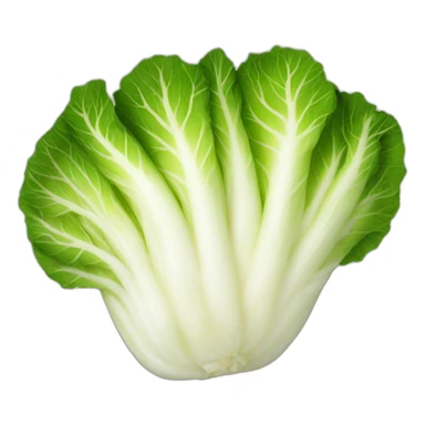 kimchi-korean-napa-cabbage sticker