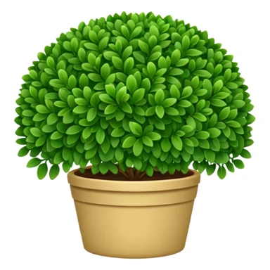 Boxwood sticker