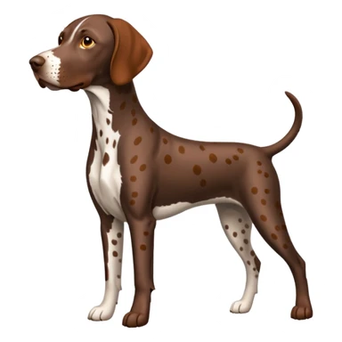 orange spotted german short haired pointer sticker