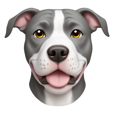 Grey pitbull with white chest sticker