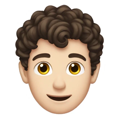 Shawn Mendes  sticker