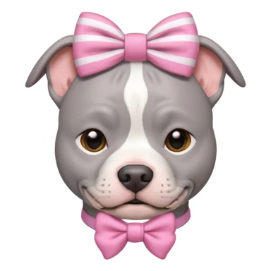 Fully Gray Pitbull with a white stripe on his head and a pink bow sticker